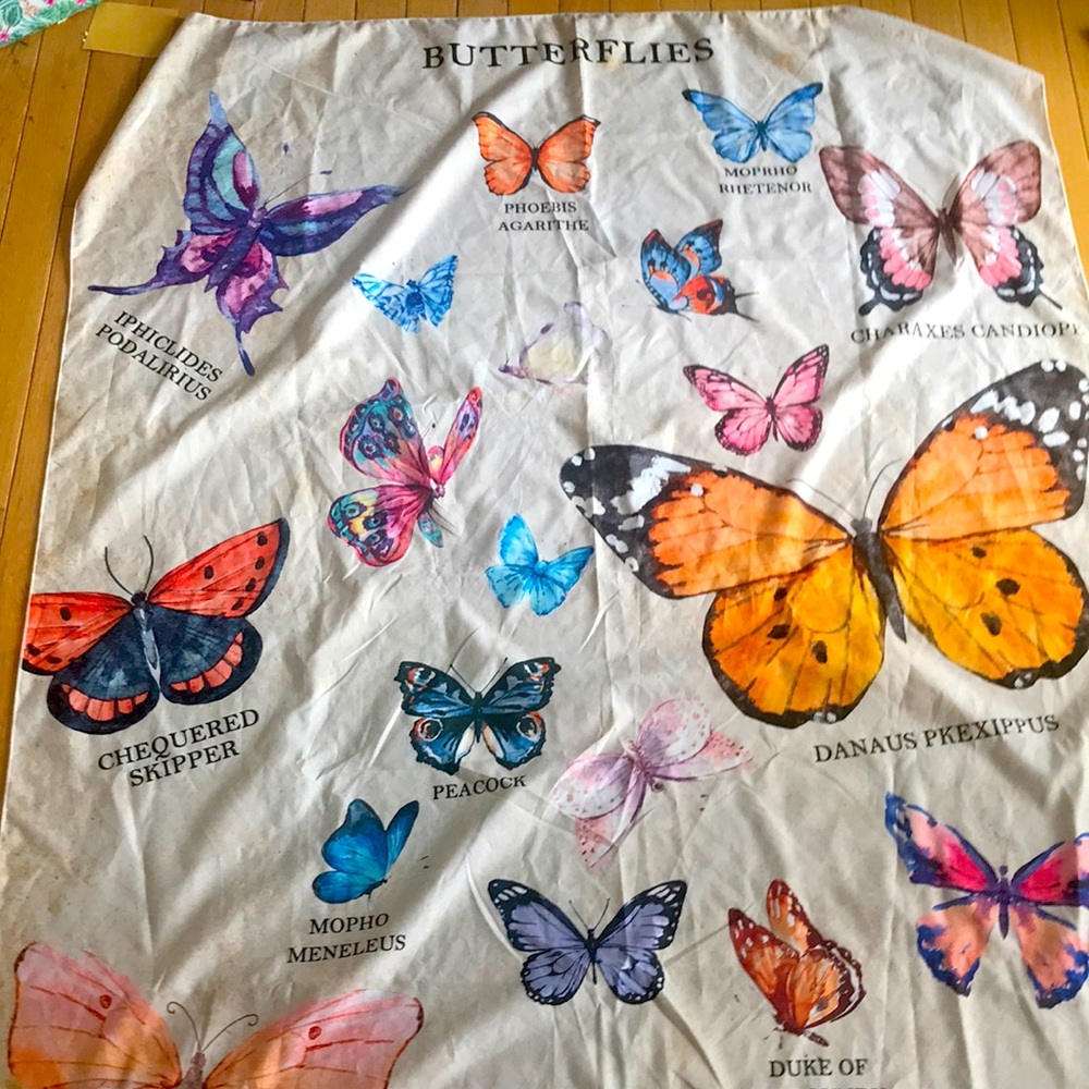 Beautiful Butterfly Tapestry